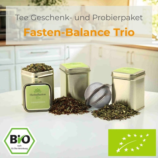 Drei nachhaltige Mini-Teedosen mit losem Bio-Tee stehen auf einer Küchentheke; eine Dose ist geöffnet und zeigt den Tee, vor den anderen liegt der lose Tee zusammen mit einem Edelstahlsieb – im Hintergrund ist eine moderne Küche zu sehen. 