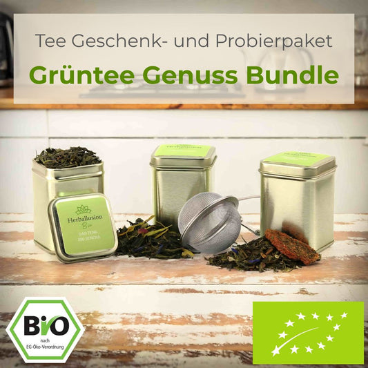 Drei nachhaltige Mini-Teedosen mit losem Bio-Grüntee stehen auf einer Küchentheke; eine Dose ist geöffnet und zeigt den Tee, vor den anderen liegt der lose Tee zusammen mit einem Edelstahlsieb – im Hintergrund ist eine moderne Küche zu sehen. 