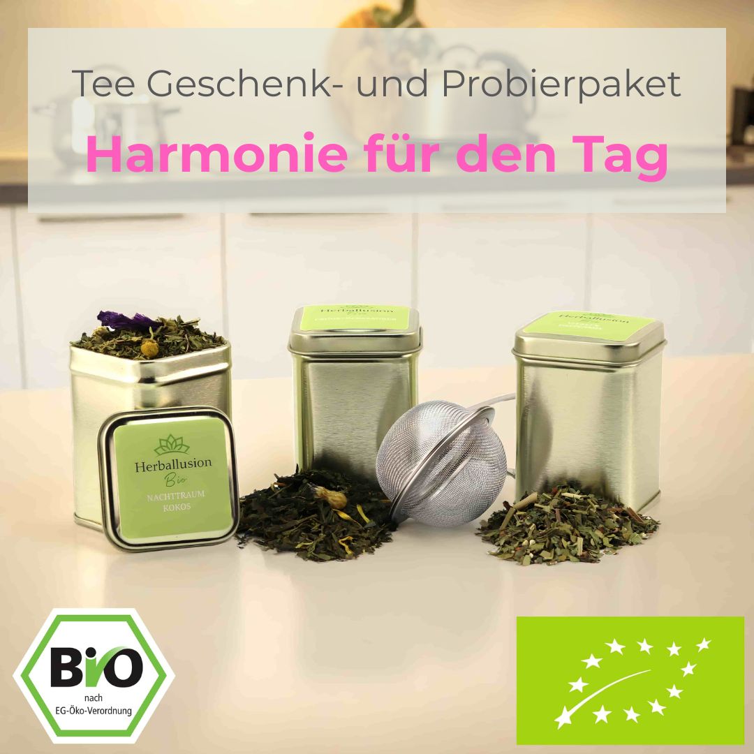 Drei nachhaltige Mini-Teedosen mit losem Bio-Tee stehen auf einer Küchentheke; eine Dose ist geöffnet und zeigt den Tee, vor den anderen liegt der lose Tee zusammen mit einem Edelstahlsieb – im Hintergrund ist eine moderne Küche zu sehen. 