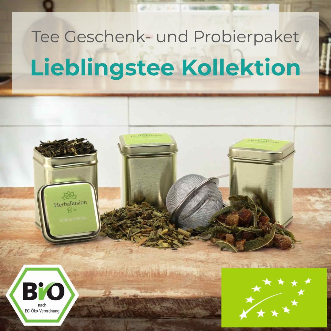 Drei nachhaltige Mini-Teedosen mit losem Bio-Mate-Tee stehen auf einer Küchentheke; eine Dose ist geöffnet und zeigt den Tee, vor den anderen liegt der lose Tee zusammen mit einem Edelstahlsieb – im Hintergrund ist eine moderne Küche zu sehen. 